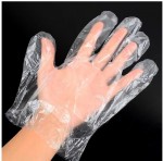 no.4-disposable-poly-gloves.jpg