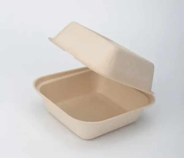 bagasse food containers 2